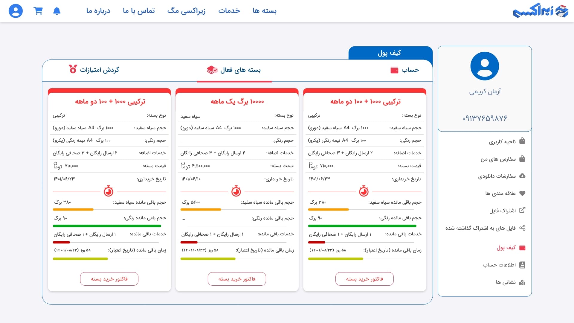 Ziraxi UI Design - Services